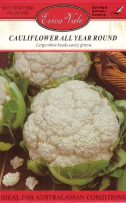 cauliflower all year round