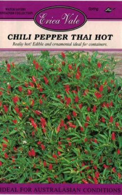 chili pepper thai hot