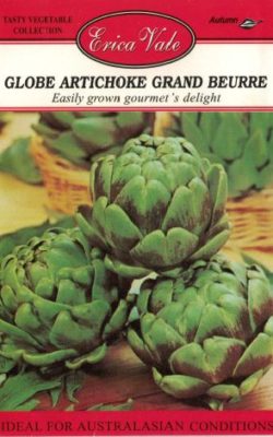 globe artichoke grand beurre