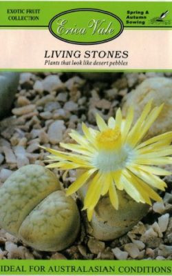 living stones