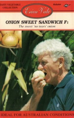 onion sweet sandwich f1
