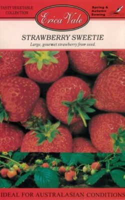 strawberry sweetie