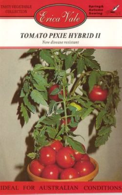 tomato pixie hybrid ii