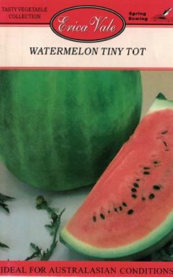 watermelon tini tot